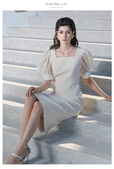 Translucent Puff Sleeves With Elegance Sheath Dress